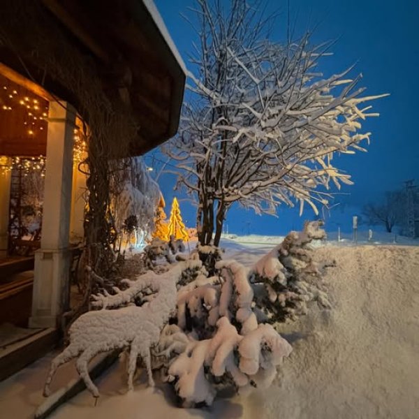 Unser Winterwunderland derzeit ist nicht zu übertreffen! ❄️❄️❄️ Gestern Abend gab es noch einmal Neuschnee, morgen klirr...