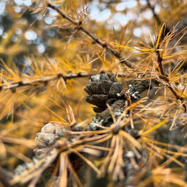 Mit vollem Herzen sagen wir DANKE für diesen Sommer! ? Jetzt heißt’s: Herbstpause ? & Akku ? aufladen, bevor wir ab A...